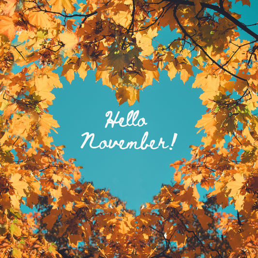 Hello, November! Embracing Cozy Vibes and Fall Adventures